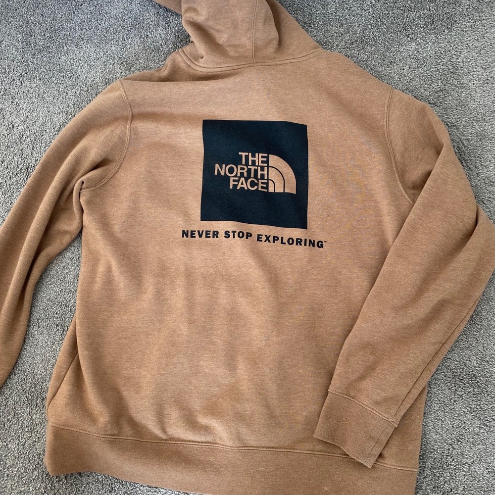 The north face hoodie